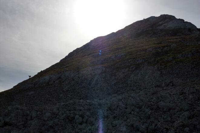 Schlussanstieg zum Gipfel