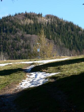 Von der Grünburger Hütte Blick hinauf zum Hochbuchberg