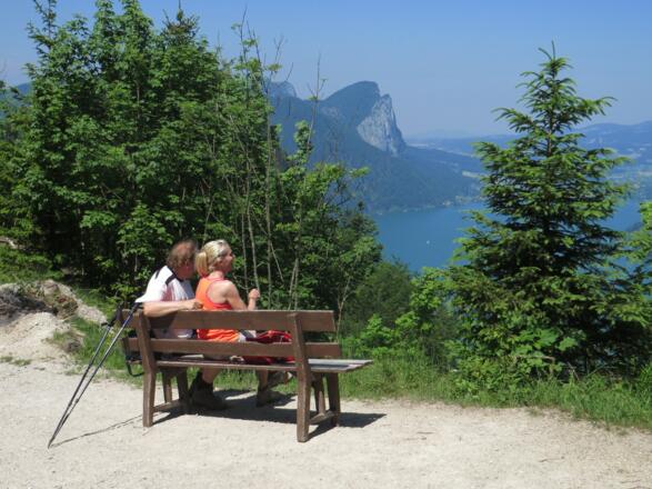 Bester Aussichtspunkt auf Mondsee und die Drachenwand