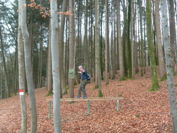 am Trimmpfad