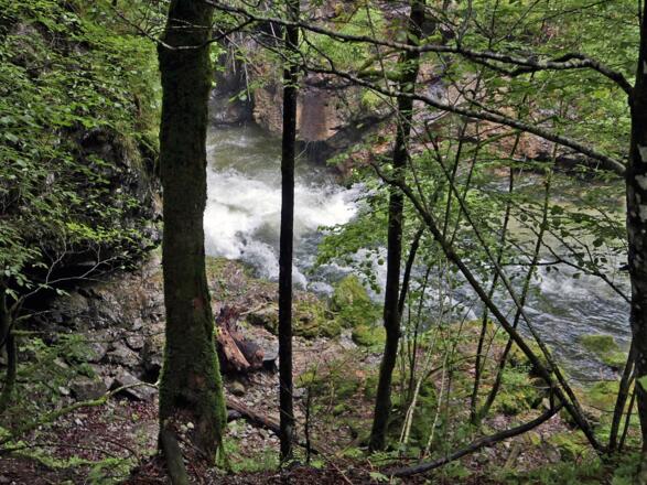 Blick in die Weissbachschlucht