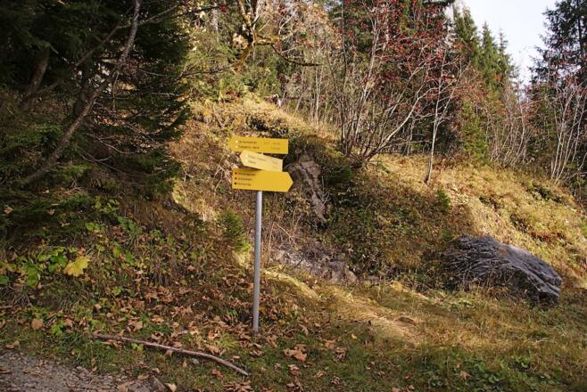 Beginn des Grünwaldsteiges nach Waidring
