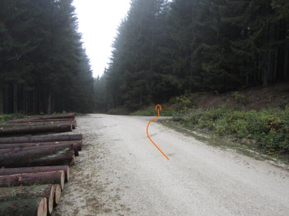 Abzweigung beim Holzlagerplatz