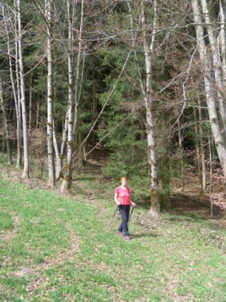 Ausstieg aus dem Graben