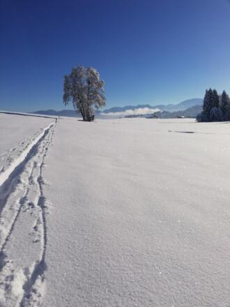 Winterwanderung ab der Haustüre