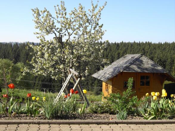 Frühling in Kappel