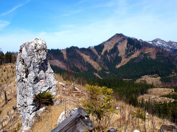 Sackriedel 1216m mit Dürrensteigkamm bis Almkogel
