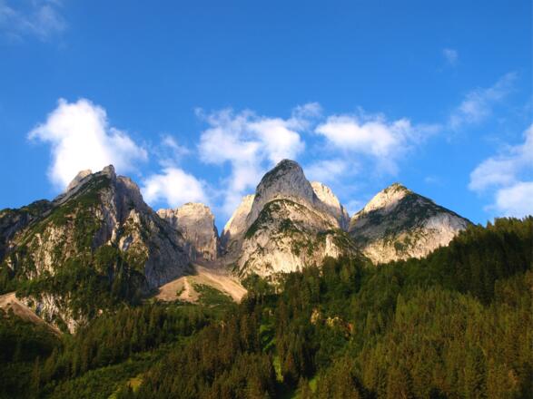 Steinriesen- und Donnerkogel am Morgen vom Gosausee