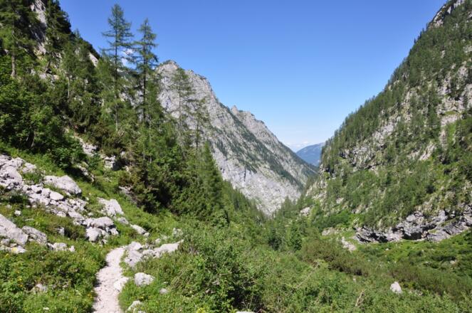 Kleine nette Steige leiten uns auch am letzten Tag der Watzmanntour zu unserem Ziel