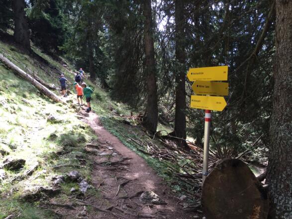 Abzweig in Richtung Wörnerkopf. Der Weg verläuft etwas anders, als in der Karte eingezeichent.