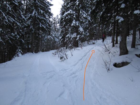 nach dem Sommerweg von der Forststraße rechts in den Wald