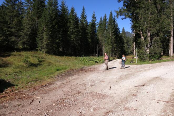 Abzweigung