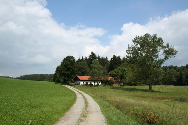 Einzelne Höfe und weite Natur prägen das Bild nördlich von Wiesenfelden.