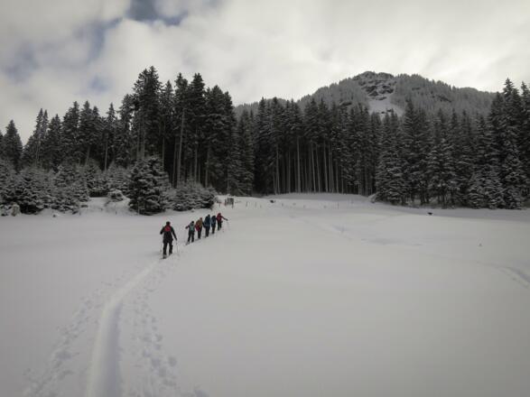 ... bis sich auf ca. 1480 m der Wald wieder schließt.