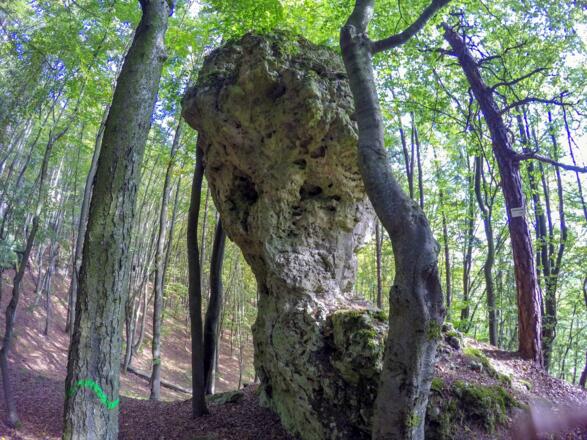 Das markante Felstürmchen Frauenfels
