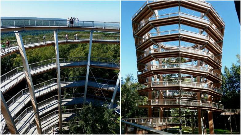 Baumwipfelpfad bei Ebrach