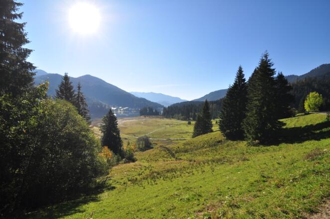 Herbststimmung am Spitzing auf dem Weg zur unteren Firstalm