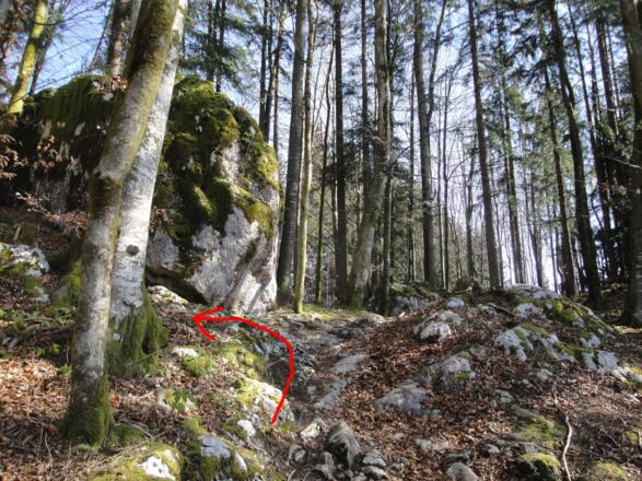 Vor den Felsblöcken verlassen wir den Wanderweg nach links zum Einstieg.