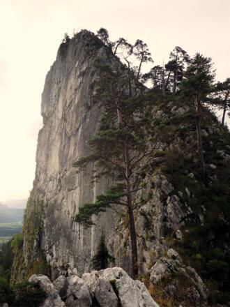 Kleiner Barmstein 741m