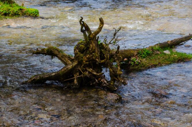 Am Ausläufer des Röthbachfalls
