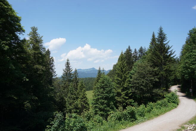 Blick zum Hochgern auf Höhe der Hindenburghütte