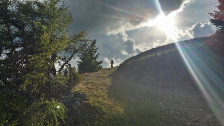 Trail für Einsteiger.