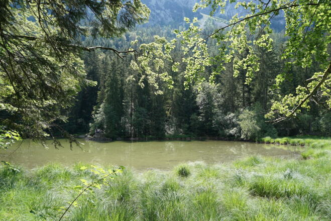 Taubensee unter der Rauschbergbahn