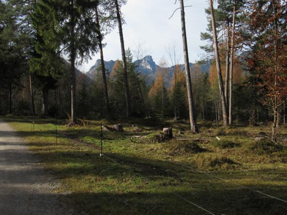 Auf dem Weg Richtung Staubfall, im Hintergrund das Hörndl
