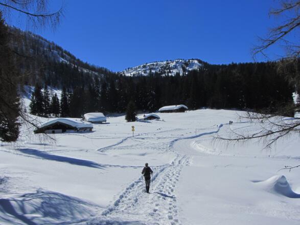 Die Almflächen der Hemmersuppenalm vor uns