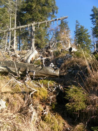 freier Anstieg, vereinzelt Steindauben