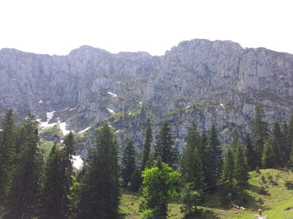 Serpentienen sind jetzt aus