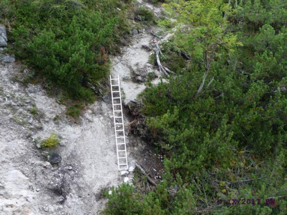 mit Leiter versicherte Stelle