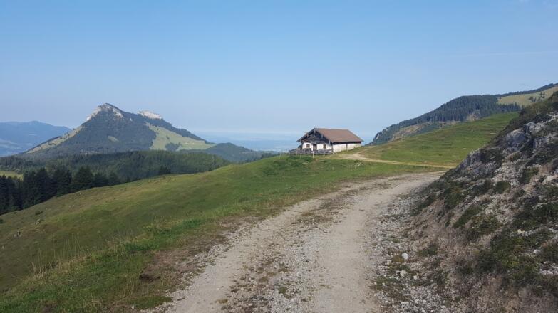 Nesselbrand-Alm