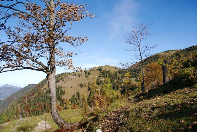 Steig über der Kreuzangeralm