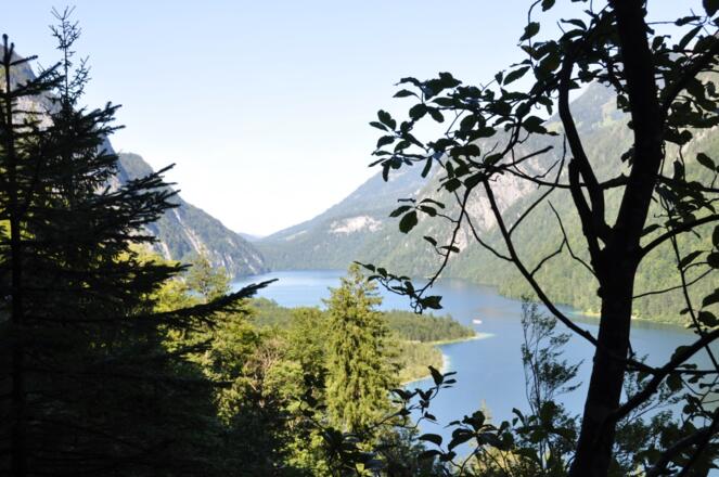 Immer wieder blitzt er beim Abstieg durch den Blätterwald - der Königsee