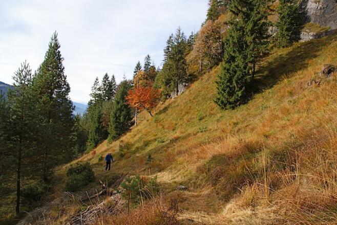 Steig im Mittelteil