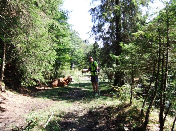 auf dem Rückweg nach Jachenau