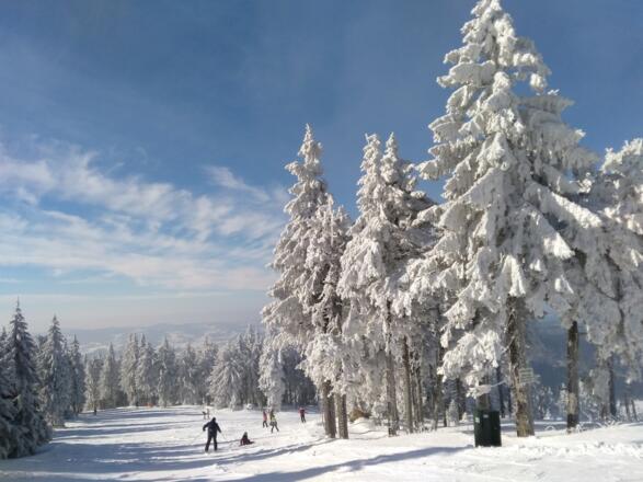 Hochficht