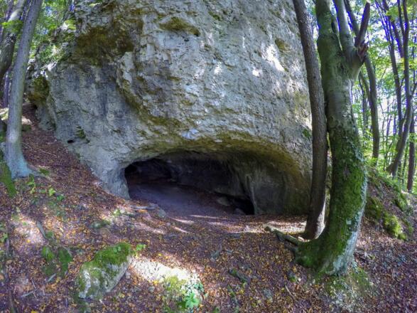 Die Frauenfelshöhle bei Neukirchen im Amberg-Sulzbacher Land