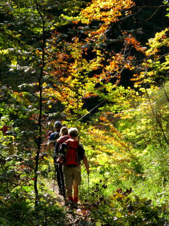 Herbstfarben über dem Hohlensteinbach!
