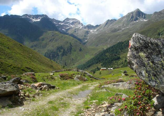 Im Zwieselbachtal. Die Schweinfurter Hütte.