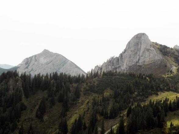 Scheinbergspitze und Hasentalkopf vom Bäckeralmsattel gesehen