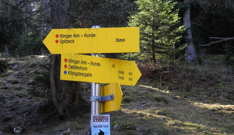 Hier links gehen - nach rechts geht es zur Bergstation der Zwölferhorn Seilbahn!