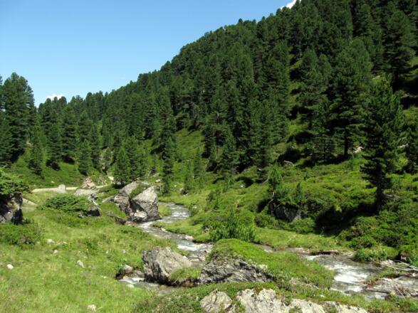 Auch die Abfahrt ist ein Genuss. Fast unwirklich wirkt das Grün im Frühjahr.