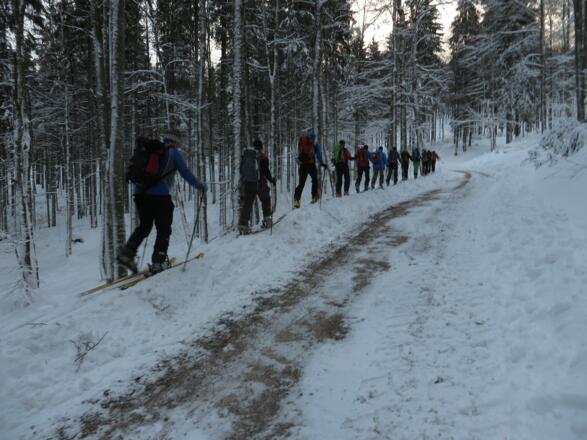 Anstieg, die ersten 450 Hm mit Ski oder Schneeschuhe, hier neben geräumter Forststraße"!