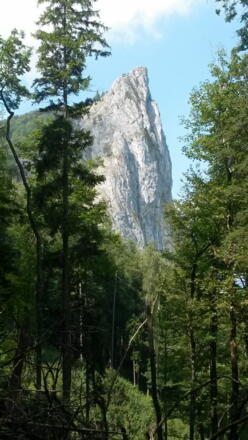 Drachenwand