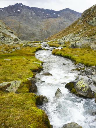 Der Warenbach