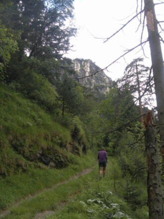 Kranzlstein Ostflanke
