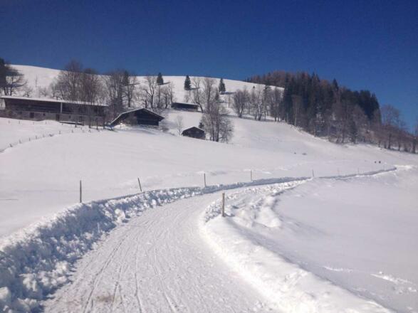 Rodeln im Chiemsee-Alpenland