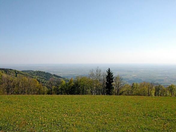 Fernsicht von Grandsberg